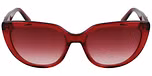 TRANSPARENT BURGUNDY