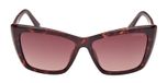 DARK HAVANA / DARK HAVANA / GRADIENT BROWN