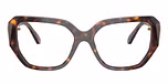 Havana / Tortoise