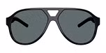 Black / Dark Grey Polarized