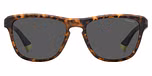 MATTE BROWN HAVANA YELLOW / GREY POLARIZED