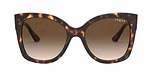 DARK HAVANA/brown gradient