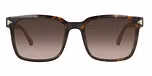 Demi / Brown Graduated / Polarised lenses