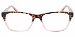 BROWN TORTOISE GRADIENT