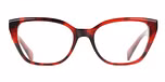 RED TORTOISE