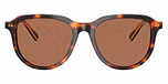 Shiny Dark Havana / Dark Brown