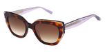 GLOSS CLASSIC TORT / GRADUATED