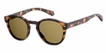 DARK HAVANA (BRONZE POLARIZED)