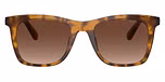 Dark Tortoise / Brown Gradient Polarized