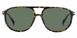 HAVANA / GREEN POLARIZED