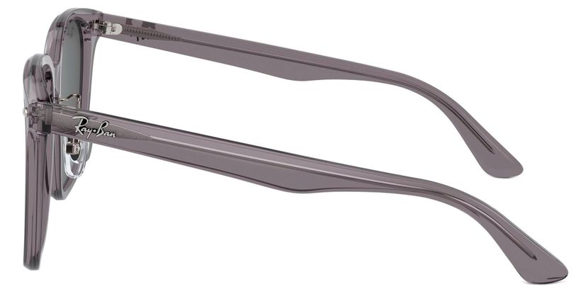 Ray-Ban RB2206D