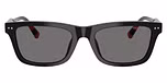 Shiny Black / Polarized Dark Grey