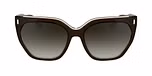BROWN / LIGHT BROWN