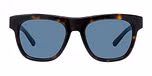 Black Tortoise / Blue Polar / Polarized