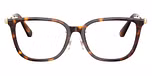 Havana / Tortoise
