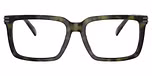 Olive Tortoise