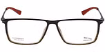 BLUISH BROWN