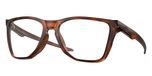 SATIN BROWN TORTOISE / havana