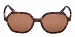 DARK HAVANA / DARK HAVANA / BROWN POLARIZED