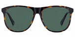 HAVANA / GREEN POLARIZED