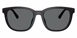 Matte Black / Grey Solid Polarized