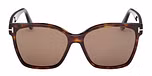 DARK HAVANA / DARK HAVANA / BROWN POLARIZED