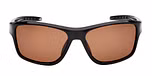 SHINY BLACK / SHINY BLACK / BROWN POLARIZED