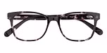 Black tortoise