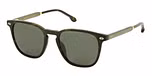 SHINY DARK HAVANA / GREEN / POLARIZED