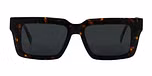 Tortoise / Polarized