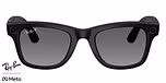 Black / Graphite / Polarized