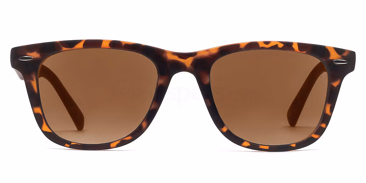 8121 - Tortoise (Sunglasses)