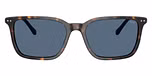 Shiny Havana / Dark Blue