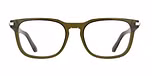 TRANSPARENT OLIVE