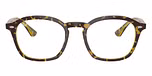 Havana & Green / Tortoise