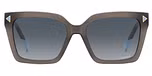BROWN (DARK BLUE SHADED / GRADIENT)