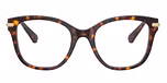 Havana / Tortoise