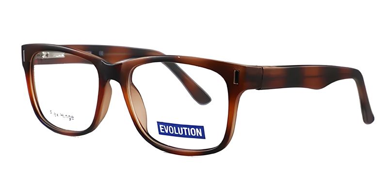 Evolution EV2061