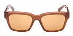 SHINY DARK BROWN / SHINY DARK BROWN / BROWN