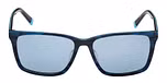 BLUE/HORN / BLUE/HORN / BLUE POLARIZED