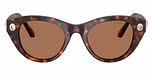 Havana / Tortoise / Dark Brown