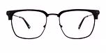 Tortoise/Black