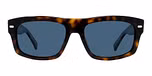 Dark Havana / Blue Polar / Polarized