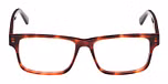 RED HAVANA / SHINY DARK RED