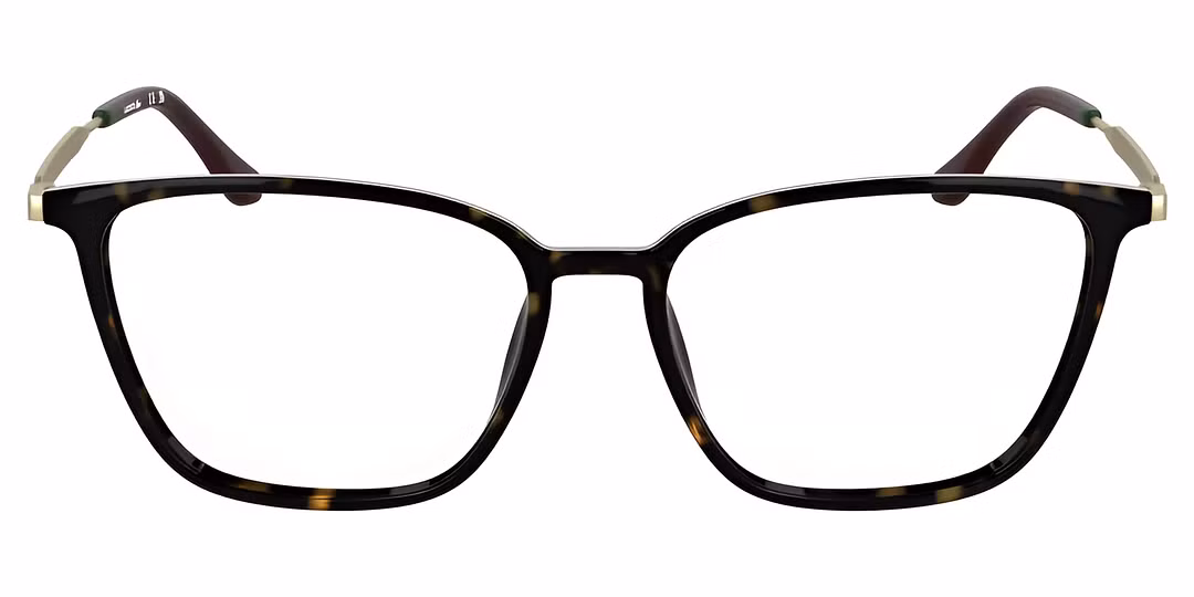 Lacoste L2984