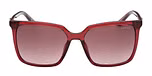 SHINY BORDEAUX / SHINY BORDEAUX / GRADIENT BROWN