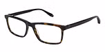 GLOSS DARK TORT