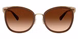 Light Gold/Brown / Brown Gradient