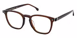 SHINY TRANSP. DARK BROWN