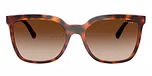 Dark Havana / Brown / Gradient Brown